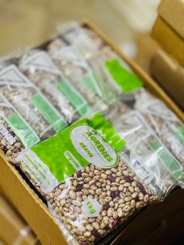 Assorted dry beans (masavu beans) Box (10pcs)