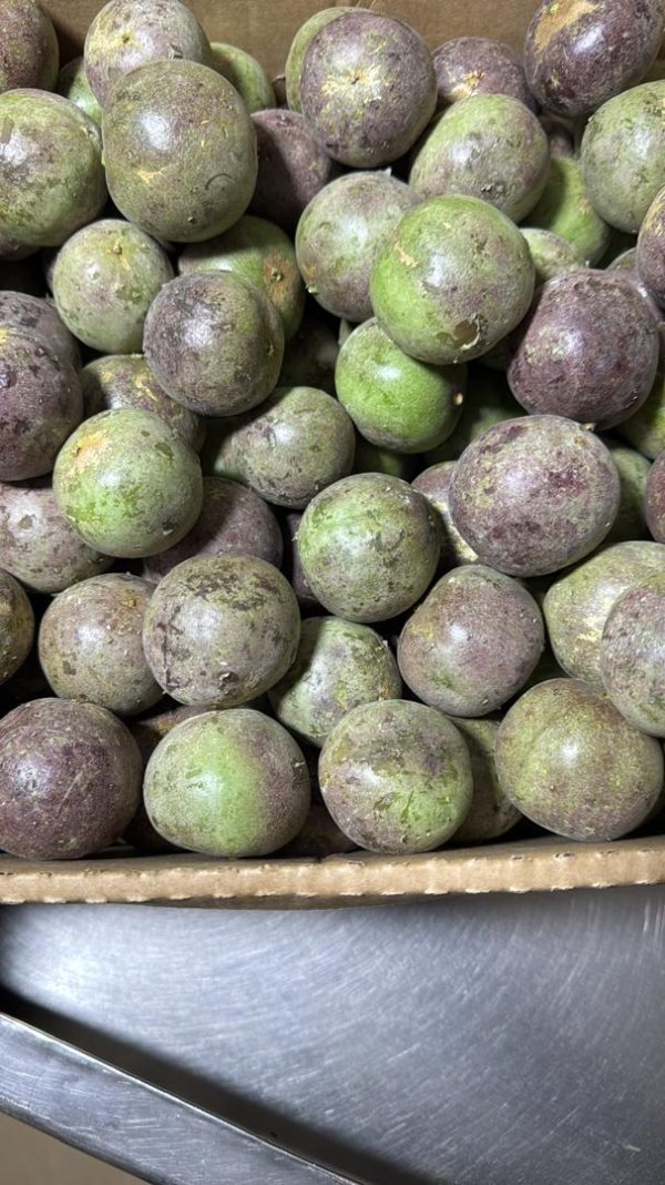 Passion Fruit Box 6kg