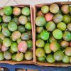 Passion Fruit Box 6kg