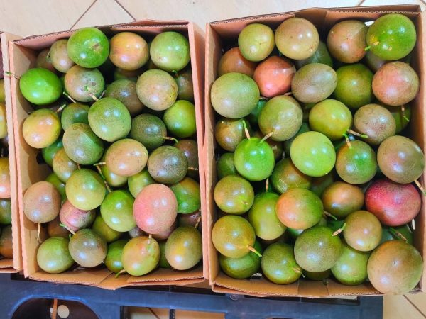 Passion Fruit Box 6kg