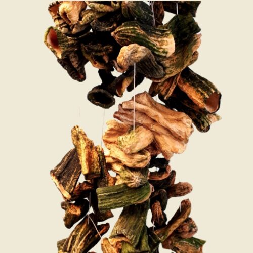 Dried Squash (kg)