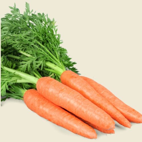 Fresh Carrots