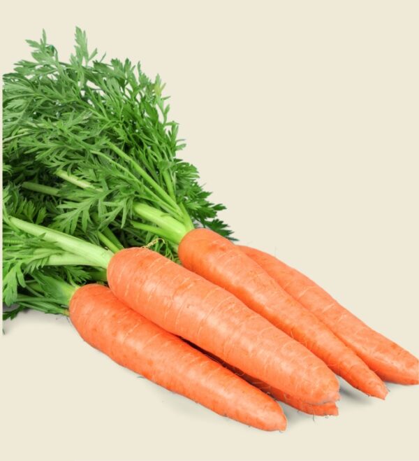 Fresh Carrots