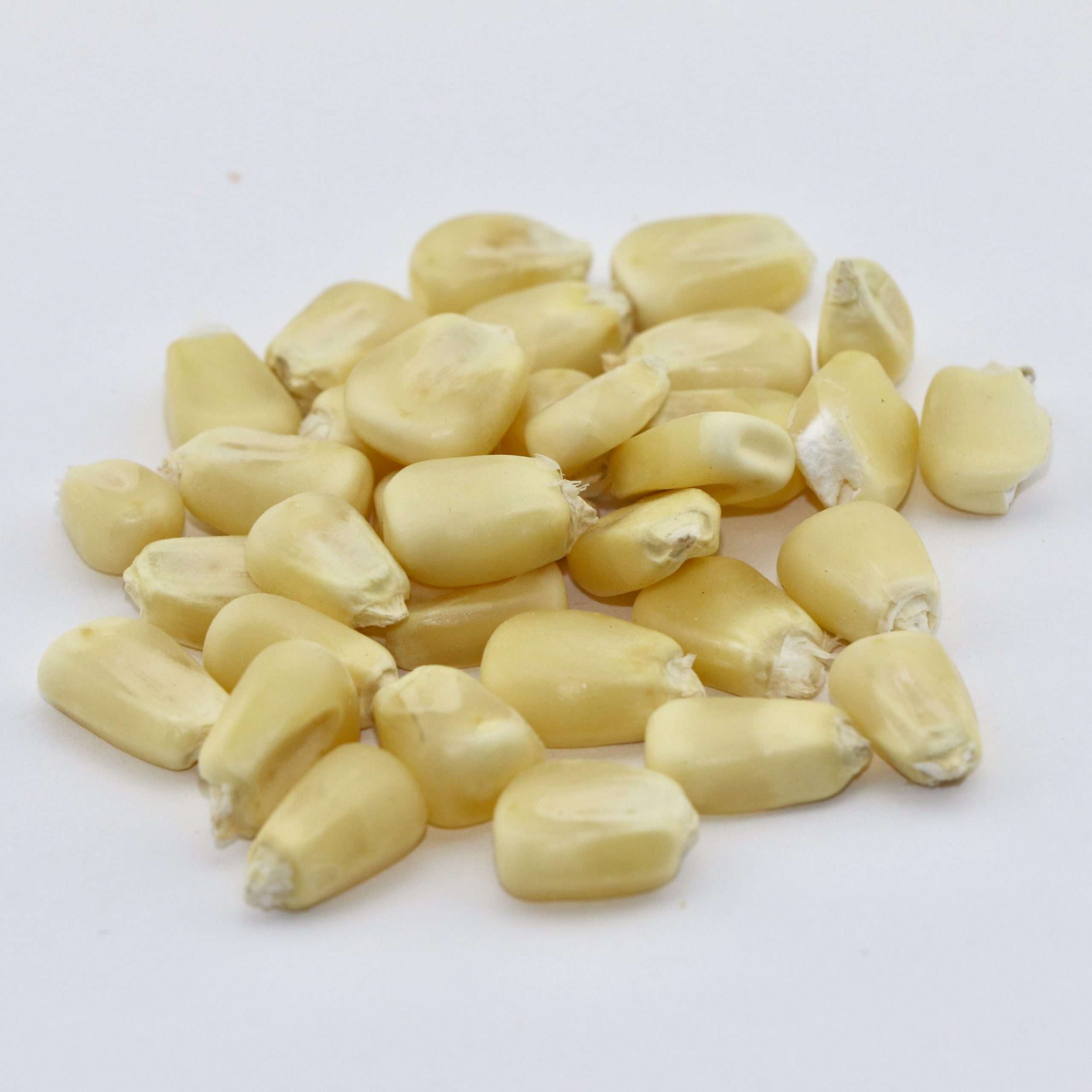 corhiw-scaled-1 Masavu Beans 1kg