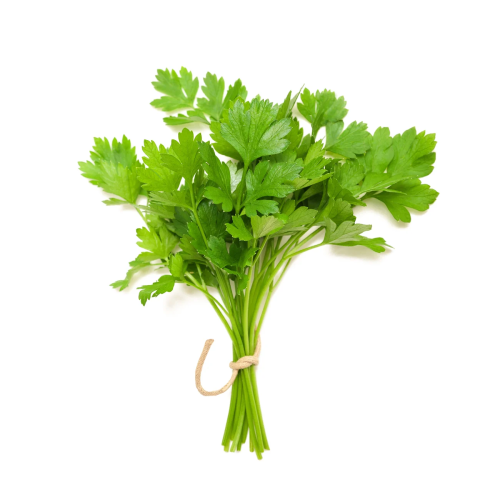 Coriander 1kg