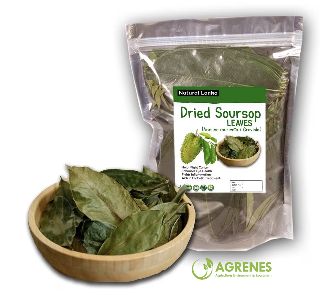 Sour Sop Leaves (100g)