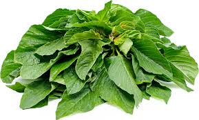 Green Amaranth(doddo) bundle
