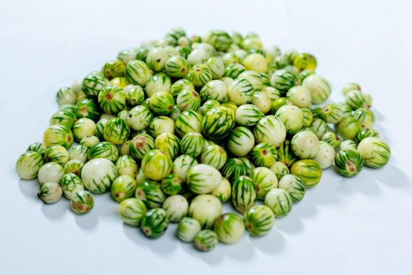 Bitter Berries 1kg