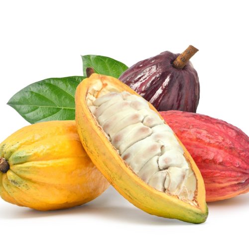Fresh Cocoa 1kg