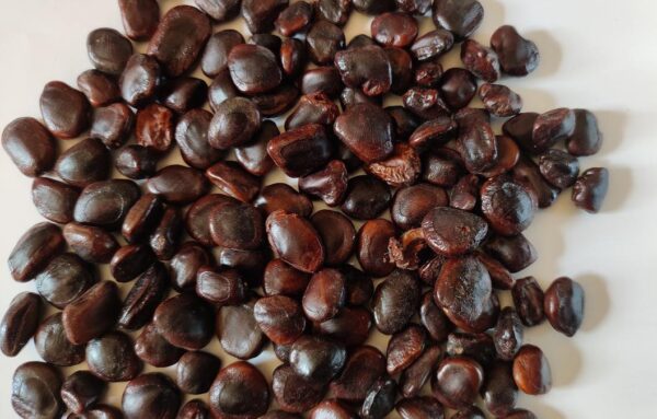 TAMARIND SEED
