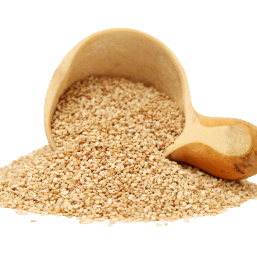 SESAME SEED