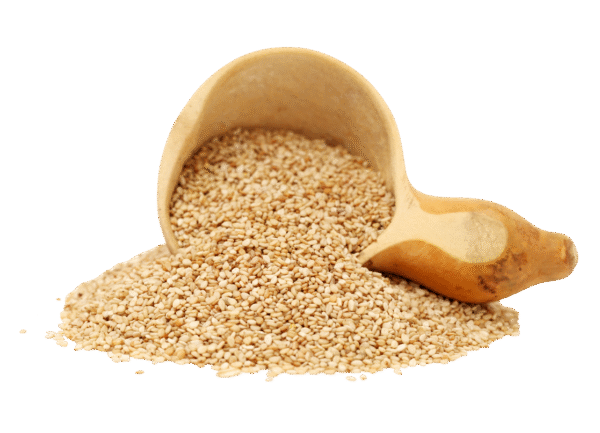 SESAME SEED