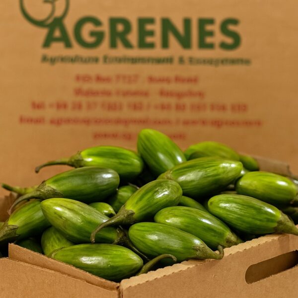 Green Garden Eggs 6kg