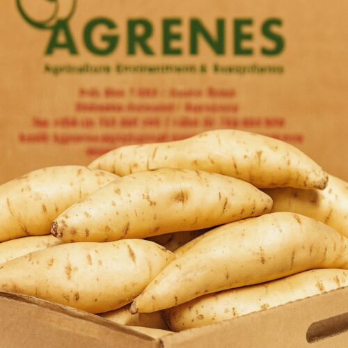 Sweet Potato Box 8kg