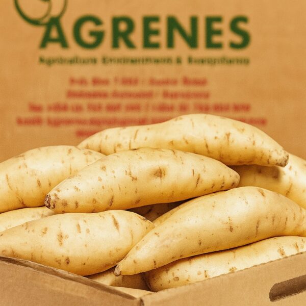 Sweet Potato Box 8kg