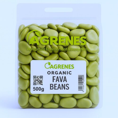 Beans-Fava