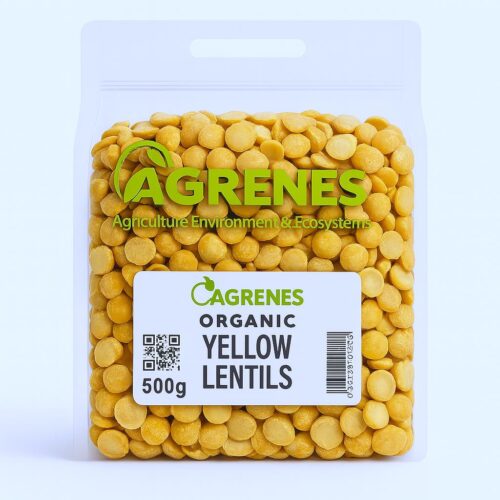 Lentils (500g)