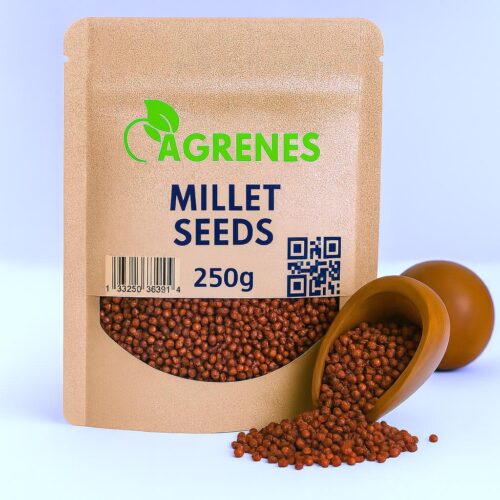 Millet Seeds