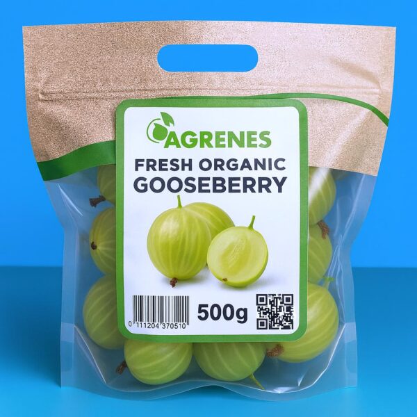 Fresh Gooseberry