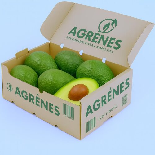 Avocado Box 8kg