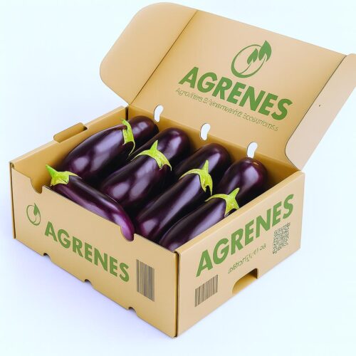Eggplant Box 6kg