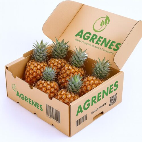 Pineapple Box 6pcs