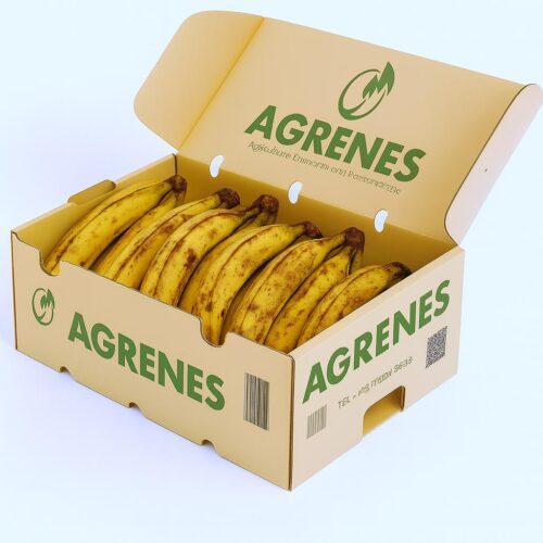 Fresh Plantain (gonja) Box (6kg)