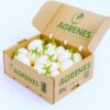 White Garden Eggs (Entula) 6kg