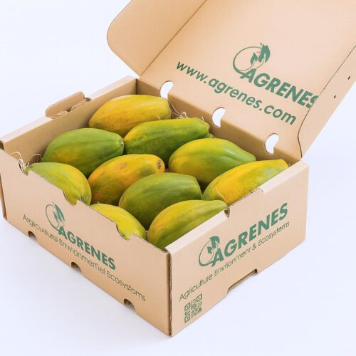 Box of Fresh Papaya