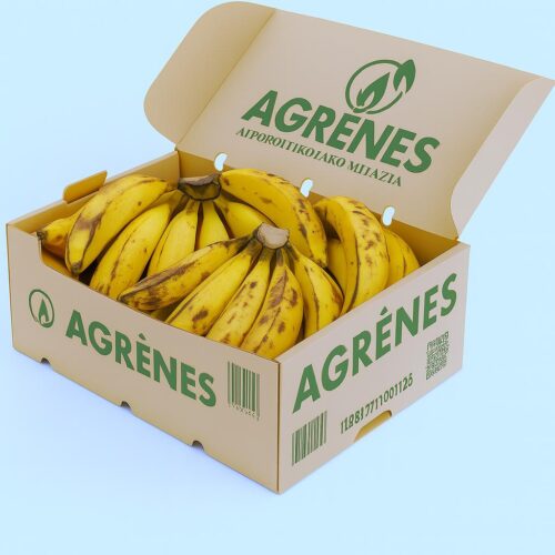 Fresh Cavendish Box (Bogoya)