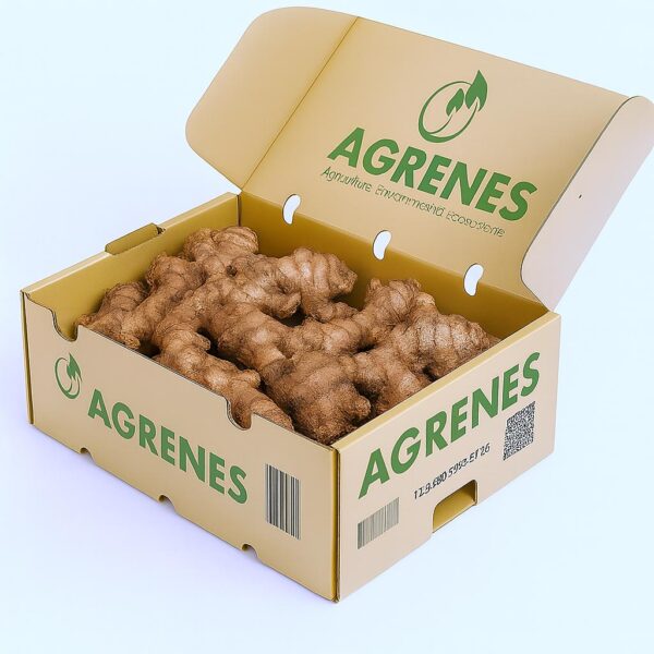 Fresh Ginger 6kg