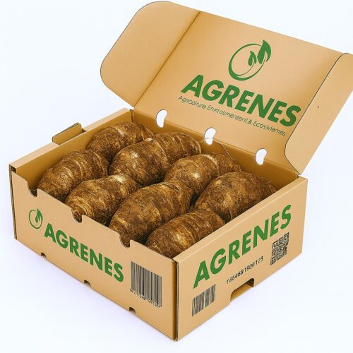 Yams Box 8kg