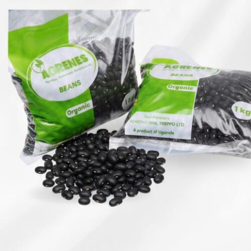 Beans-Black Turtle  1kg