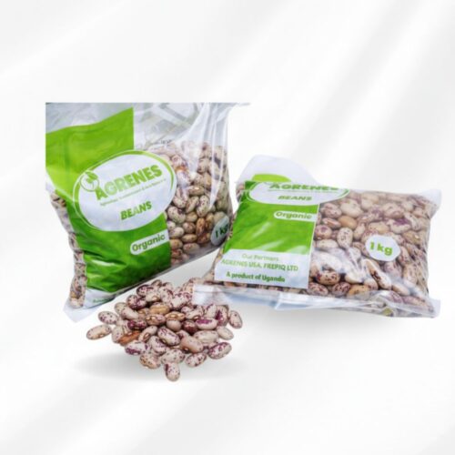 IMG-20250927-WA0024 Beans-Nodark