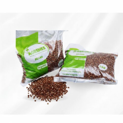 IMG-20250930-WA0028 Millet Seeds