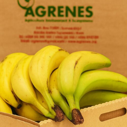 Fresh Cavendish Box (Bogoya)