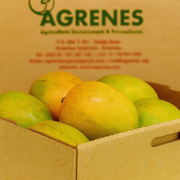 Mangoes Box 8kg