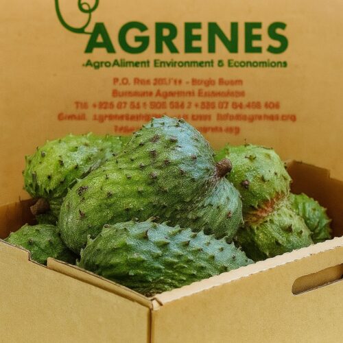 Sour Sop (Kitafeeri) 5KG Box