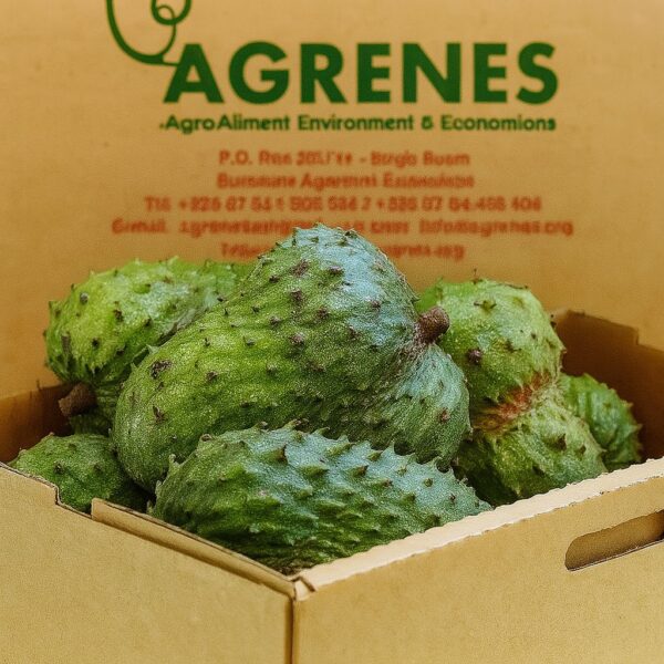 Sour Sop (Kitafeeri) 5KG Box
