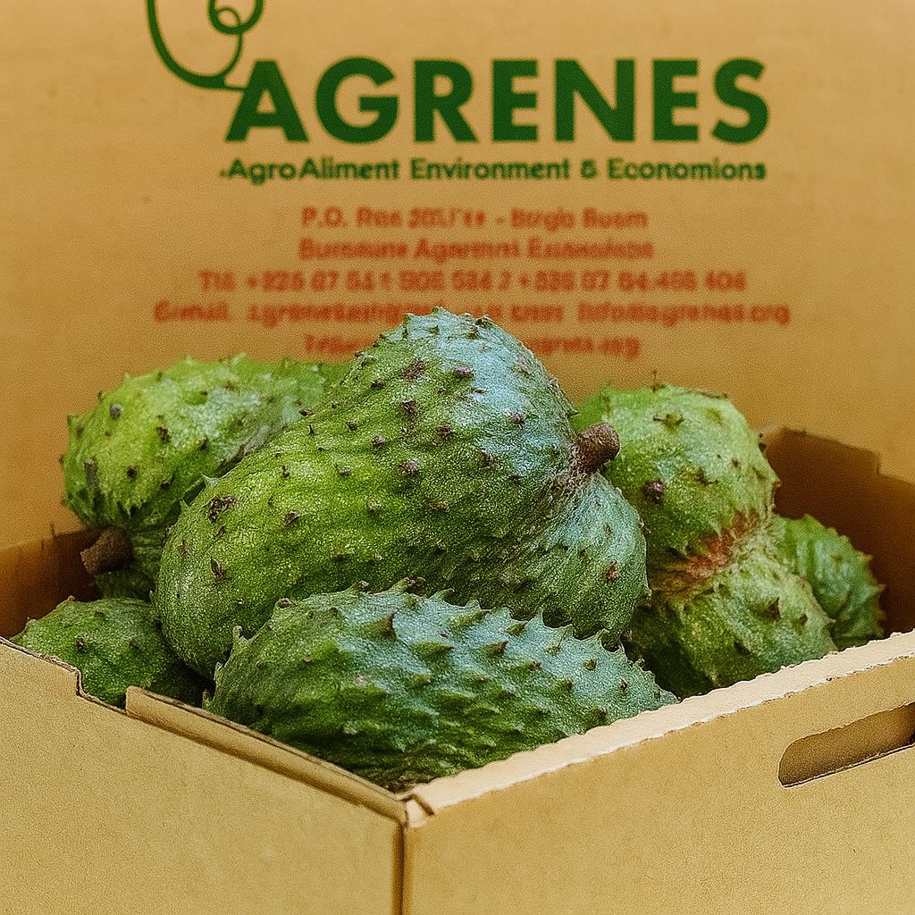 Sour Sop (Kitafeeri) 5KG Box