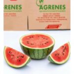Watermelon (pc)